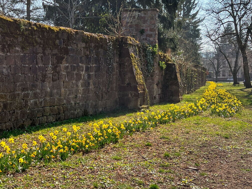 693E299F-2800-474E-9DAB-0AB5C143A516-22244-00000513B2F5CB06